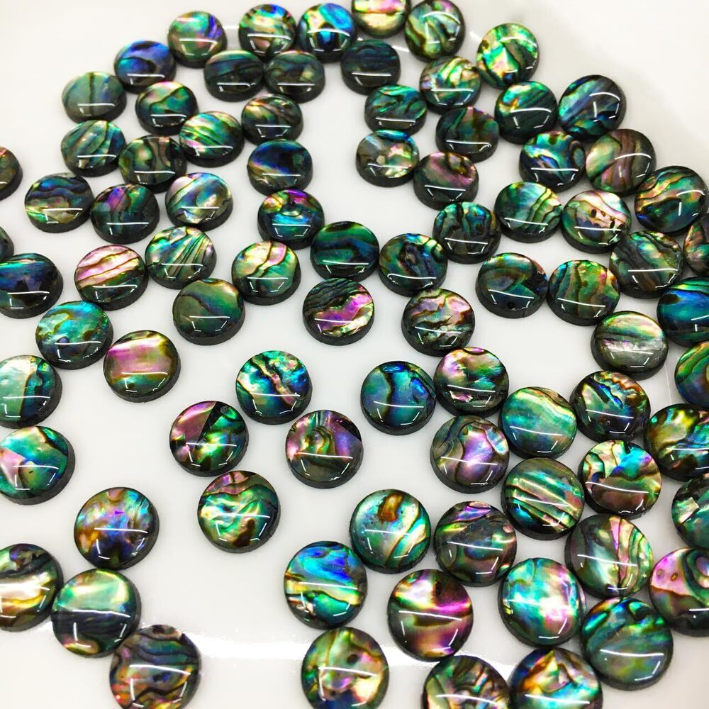 8765 100PCS Round Abalone Shell Cabochons Natural Abalone Flat Loose Beads